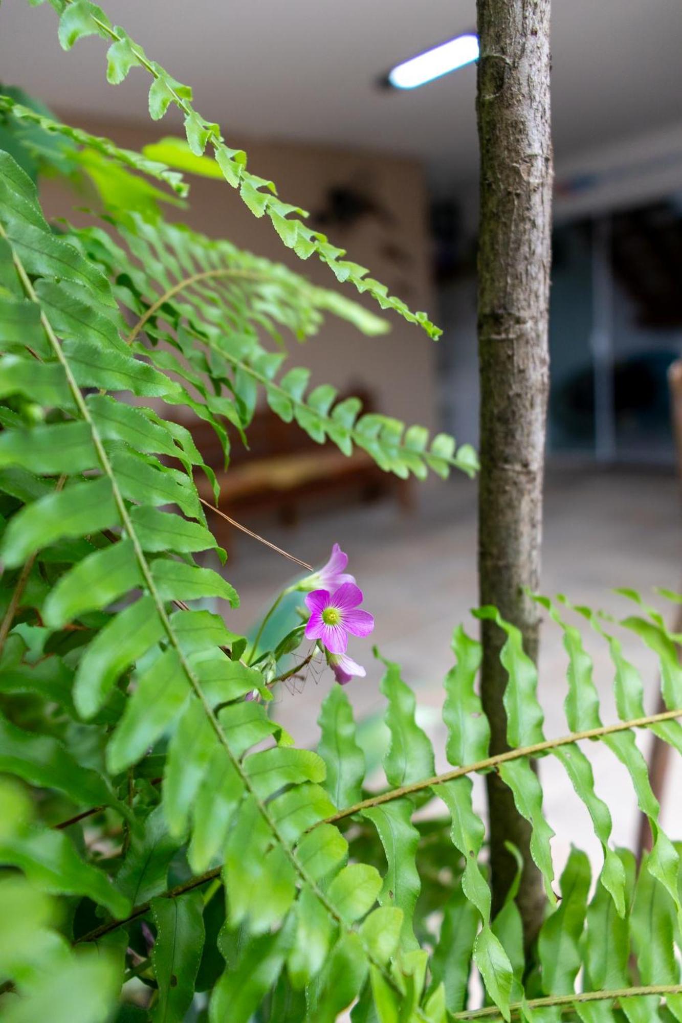 Suites Margarida Ubatuba Buitenkant foto